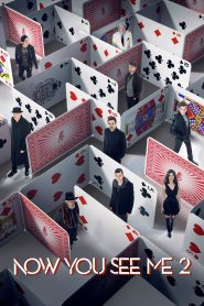 Now You See Me 2 (2016) Dual Audio {Hindi-English} 480p| 720p