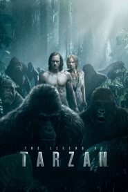 The Legend of Tarzan (2016) Dual Audio (Hindi-English) 480p, 720p & 1080p