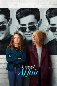 A Family Affair (2024) NF WEB-DL Dual Audio {Hindi-English} 480p, 720p & 1080p