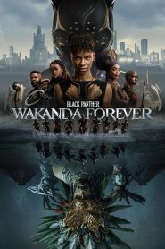 Black Panther: Wakanda Forever (2023) iMAX Dual Audio [Hindi DD5.1 – English] 480p, 720p & 1080p