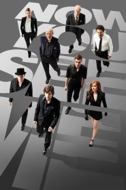 Now You See Me (2013) Dual Audio {Hindi-English} 480p | 720p