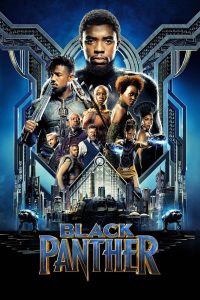 Black Panther (2018) IMAX BluRay Dual Audio {Hindi-English} 480p, 720p & 1080p