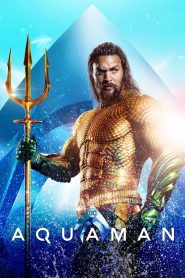 Aquaman (2018) {Hindi-English} Bluray IMAX 480p, 720p & 1080p