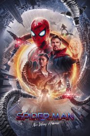 Spider-Man: No Way Home (2021) Dual Audio [Hindi ORG + English] WEB-DL 480p, 720p & 1080p