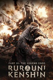 Rurouni Kenshin Part III: The Legend Ends (2014) BluRay MULTi-Audio {Hindi-English-Japanese} 480p, 720p & 1080p