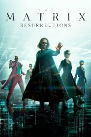 The Matrix Resurrections (2021) Dual Audio [Hindi ORG. + English] WEB-DL 480p, 720p & 1080p