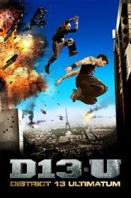 District 13: Ultimatum (2009) Dual Audio [Hindi + English] WEB-DL 480p, 720p & 1080p