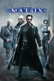 The Matrix (1999) Dual Audio {Hindi-English} BluRay 480p, 720p & 1080p