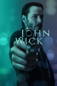 John Wick (2014) Dual Audio {Hindi-English} BluRay  480p, 720p & 1080p