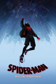 Spider-Man: Into the Spider-Verse (2018) BluRay Dual Audio {Hindi-English} 480p, 720p & 1080p