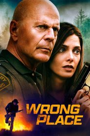 Wrong Place (2022) Dual Audio {Hindi-English} BluRay  480p, 720p & 1080p