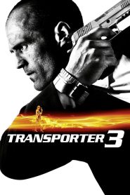 Transporter 3 (2008) Dual Audio {Hindi-English} WEB-DL 480p, 720p & 1080p