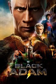 Black Adam (2022) Blu-Ray Dual Audio [Hindi DD5.1-English] 480p, 720p & 1080p