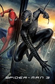 Spider-Man 3 (2007) Dual Audio {Hindi-English} 480p, 720p & 1080p