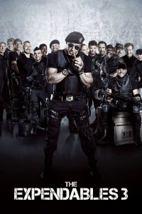 The Expendables 3 (2014) Dual Audio [Hindi – English] 480p, 720p & 1080p