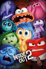 Inside Out 2 (2024) Hindi + English HDTS 1080p 720p 480p 264 AAC