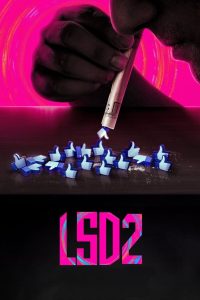 LSD 2: Love, Sex Aur Dhokha 2 (2024) NF WEB-DL {Hindi DD5.1} 480p, 720p & 1080p