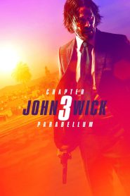 John Wick: Chapter 3: Parabellum (2019) Dual Audio {Hindi (5.1 DD) – English} WEB-DL 480p, 720p & 1080p