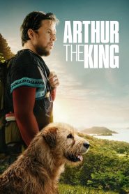 Arthur the King (2024) BluRay Dual Audio {Hindi-English} 480p, 720p & 1080p