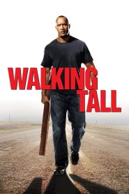 Walking Tall (2004) Dual Audio {Hindi-English} BluRay 480p, 720p & 1080p