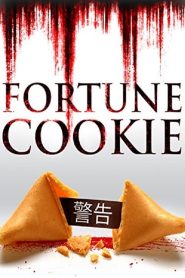 Fortune Cookie (2016) Dual Audio {Hindi-English} WEB-DL 480p & 720p