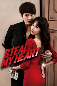 Steal My Heart (2013) BluRay Dual Audio {Hindi-Korean} 480p, 720p & 1080p